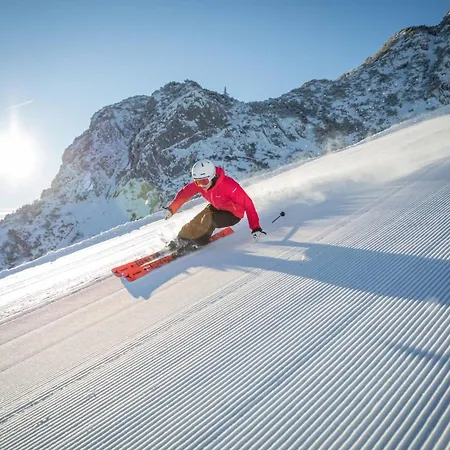 All-suite Inkl Aubad-eintritt Im Winter Und Im Sommer Inkl Lauchsee Eintritt Lägenhetshotell 4*